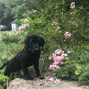 Meet your Posher, Jeannie